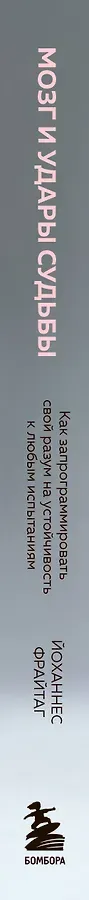 Мозг и удары судьбы. Как запрограммировать свой разум на устойчивость к любым испытаниям