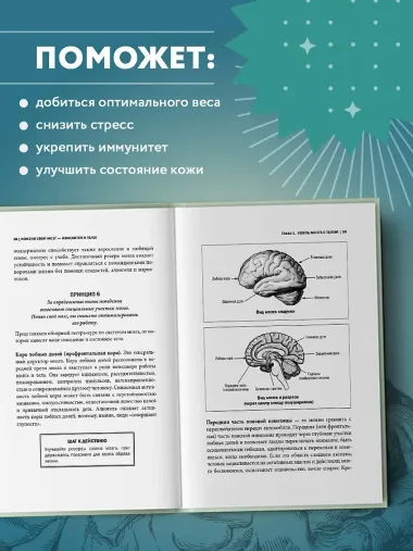 Измени свой мозг - изменится и тело!