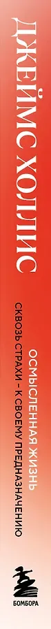 Осмысленная жизнь. Сквозь страхи – к своему предназначению