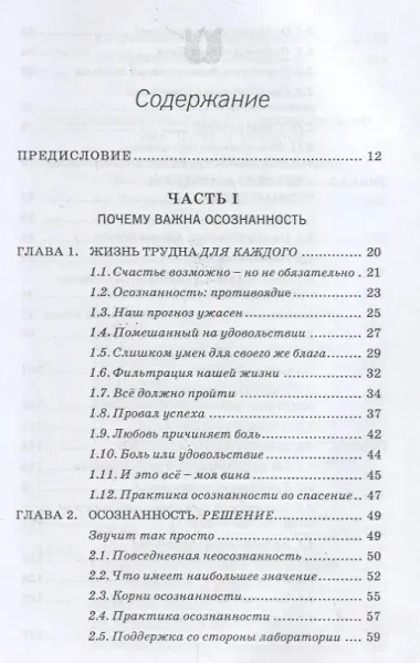 Осознанное решение. Эффективная практика для ежедневных проблем