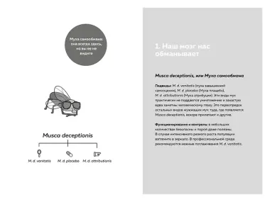 Мой мозг мне врёт! Феномен эффекта жужжащей мухи