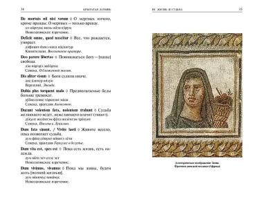 Крылатая латынь. Цитаты. Пословицы. Надписи. Девизы. Эпитафии (3-е изд., дополн.)