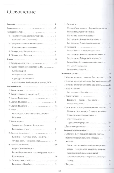 Атлас анатомии человека