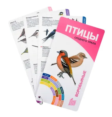 Птицы Среднего Урала. Воробьиные и неворобьиные.