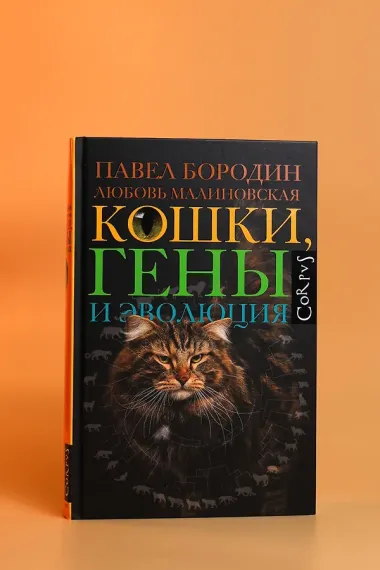 Кошки, гены и эволюция