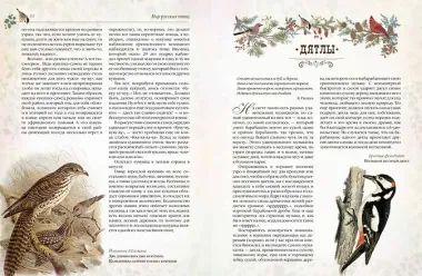 Мир русских птиц. Пернатое царство