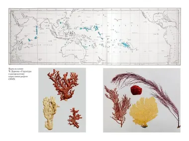Происхождение видов путем естественного отбора