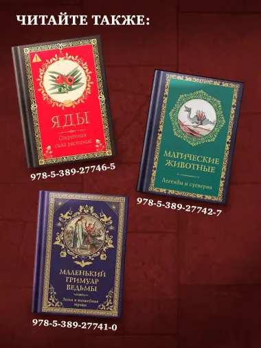 Женская сила. Луна, циклы, ритуалы