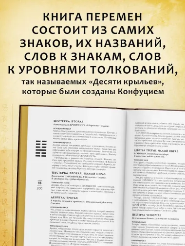 Искусство управления переменами. Знаки и крылья.