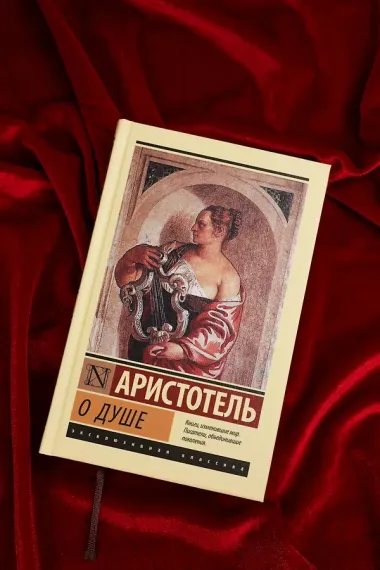 О душе