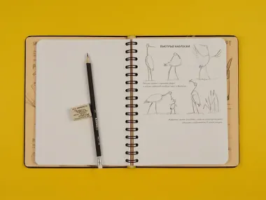 «SketchBook: Визуальный экспресс-курс по рисованию», чёрный