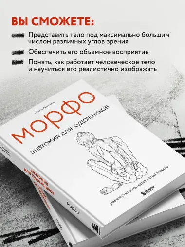 МОРФО. Анатомия для художников