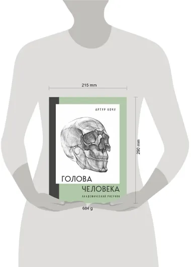 Голова человека. Академический рисунок