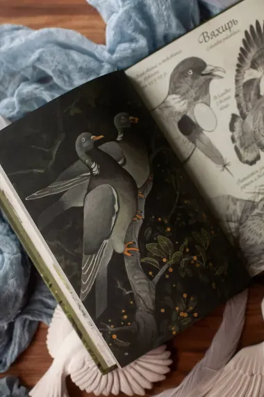 Птицы леса. Артбук