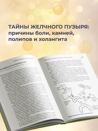 Желчь & ферменты