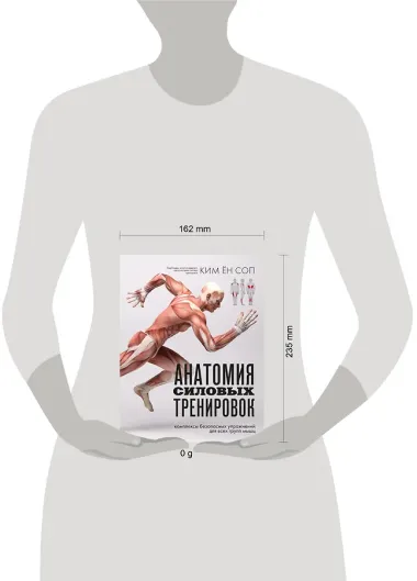 Анатомия силовых тренировок