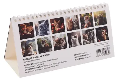 Календарь 2026г 210*120 