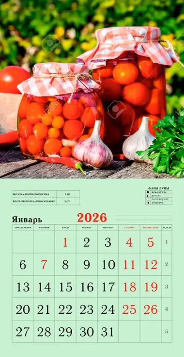 Календарь 2026г 300*290 