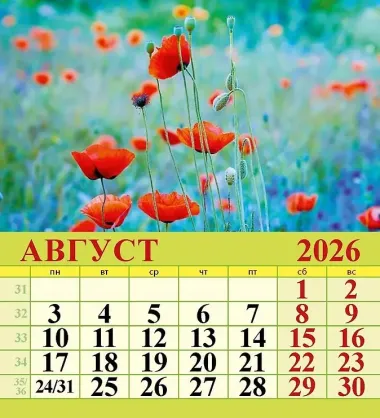 Календарь 2026г 100*140 