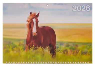 Календарь квартальный 2026г 310*680 