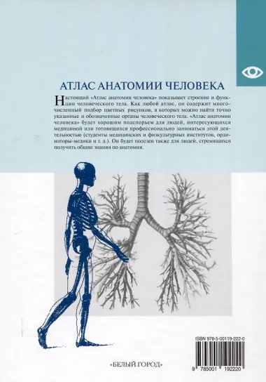 Атлас анатомии человека, изд 2025