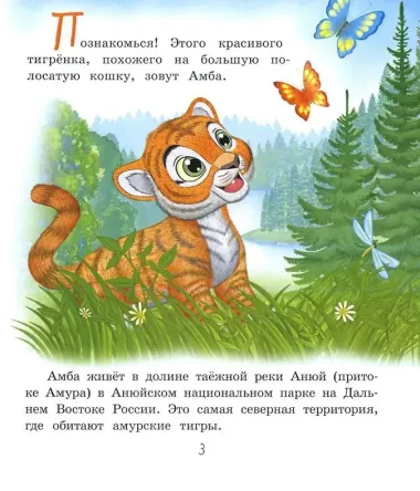 О тигрёнке Амбе и его друзьях: для занятий с детьми дошкольного возраста