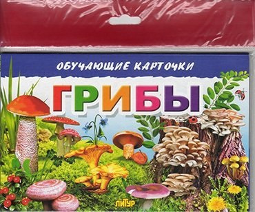 Обучающие карточки 