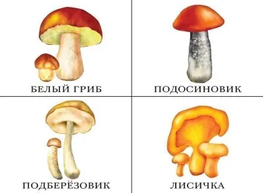 Что в моей корзинке? Овощи, фрукты, ягоды, грибы. Демонстрационный материал