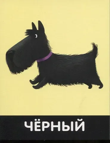 Набор карточек 