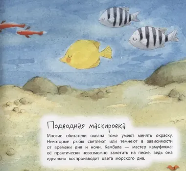 Цвета животных