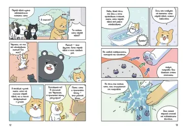 Котёнок Наби. Я умываю лапы!