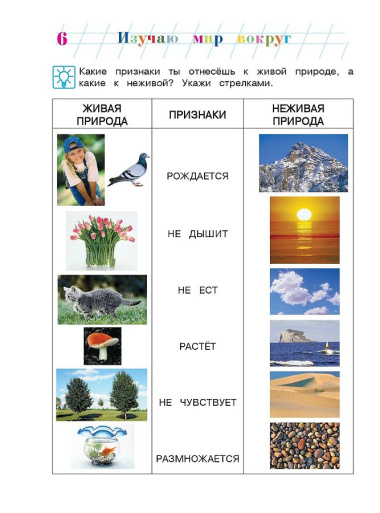 Изучаю мир вокруг: для детей 6-7 лет. Часть 1