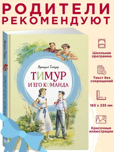 Тимур и его команда