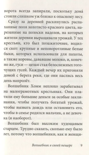 Волшебник Боландского леса