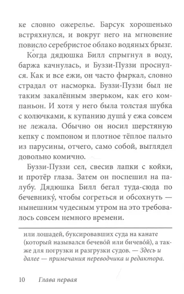 Билл Барсук и пираты