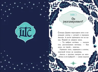 Кот по кличке Тринадцатый