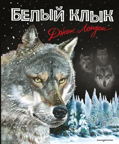 Белый клык