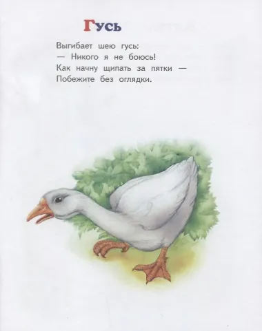 Азбука животных