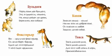 День рождения собаки