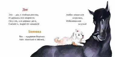 День рождения собаки