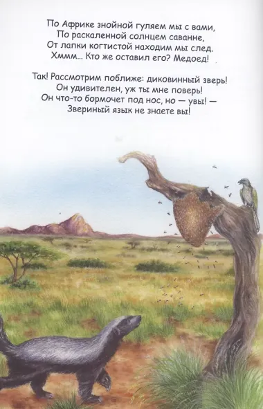 Герои-зверята