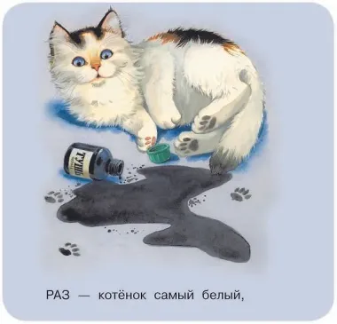 Котята