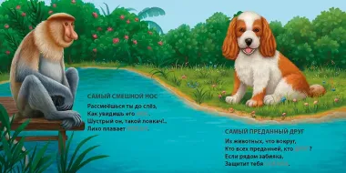 Такие разные птицы. Загадки-рифмы