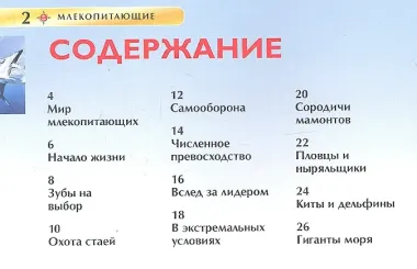Млекопитающие