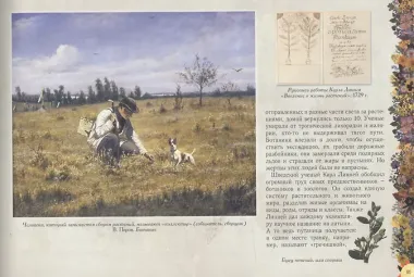 Мой первый гербарий