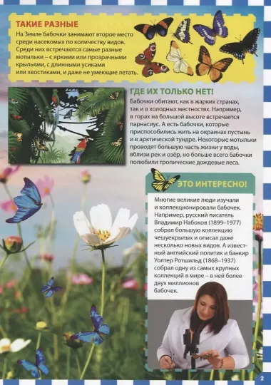 Бабочки