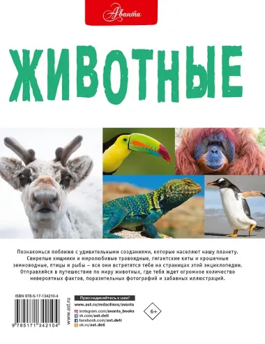 Животные