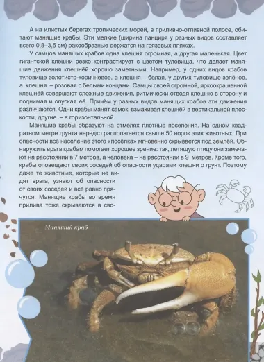Животные строят