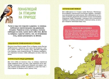 Птицы