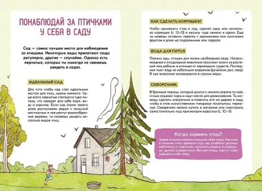 Птицы